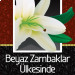 Beyaz Zambaklar Ülkesinde