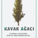 Kavak Ağacı