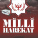 Milli Harekat